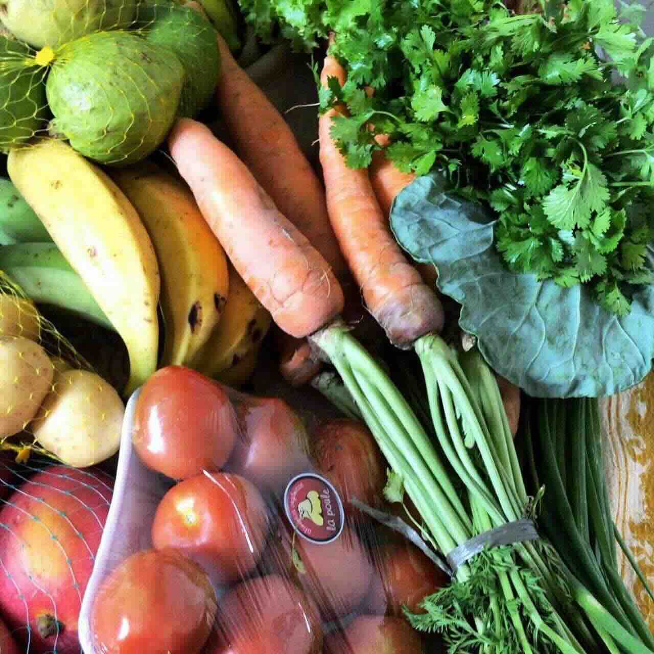 Fazenda orgânica La Poule